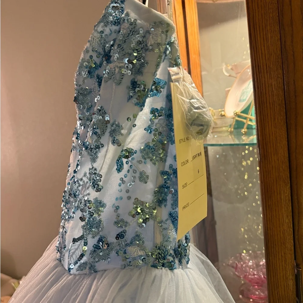 Pageant / Prom Gown by Rachel Allan size 6 - Picture 4 of 13